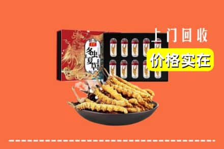 泰顺县回收冬虫夏草